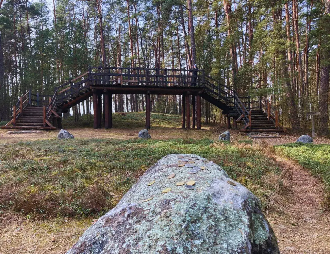 Drewniana kładka nad kurhanami kaszubskimi w lesie. Na pierwszym planie kamień z monetami.